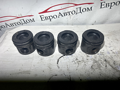 51.02500.6035 Поршень